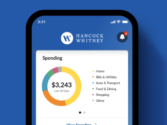 mobile_spending_343x257