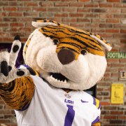 Mike the Tiger showing his LSU support