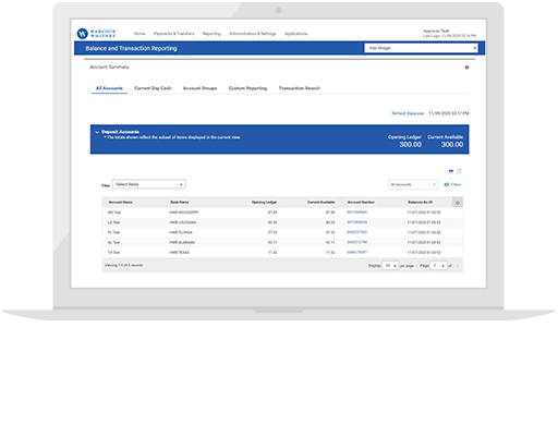 11038-01_HANC_TS_TransitionLP_mockup_KeyChanges_DeviceMockups_reporting